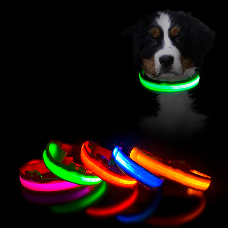 Coleira de LED Para Pets