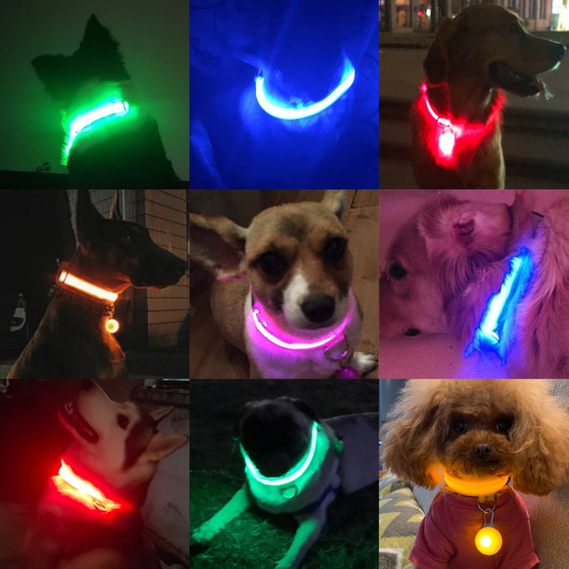 Coleira de LED Para Pets