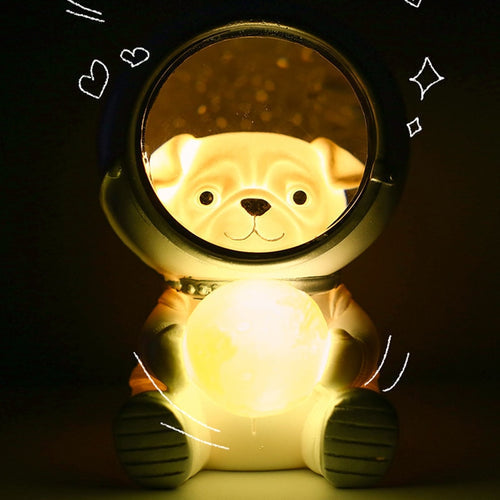 Luminária Pet Astronauta Led